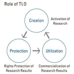 Role of TLO